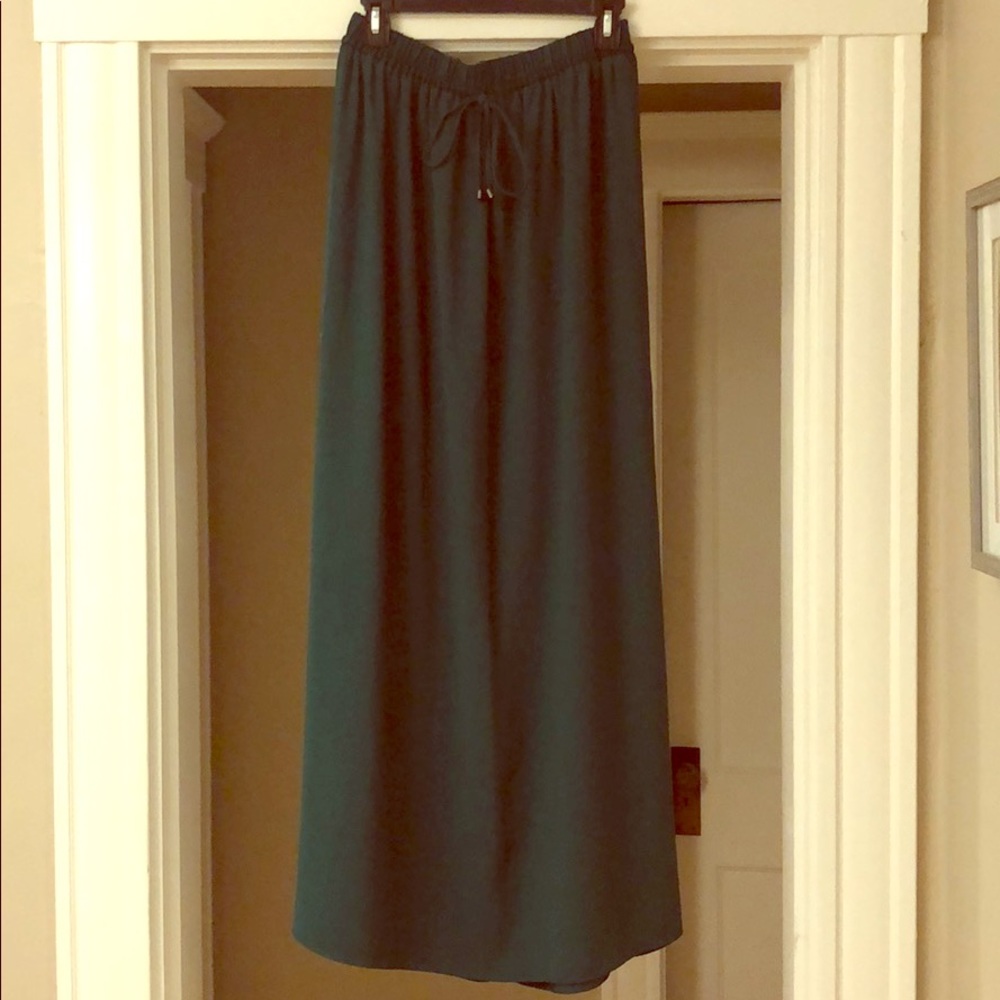 Zara maxi skirt